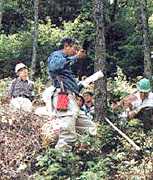 �X�э��̎ʐ^