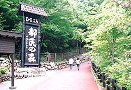 �s���̐X�̎ʐ^