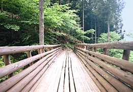 �����̋��̎ʐ^