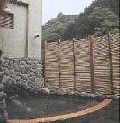 �I�V���C�̎ʐ^