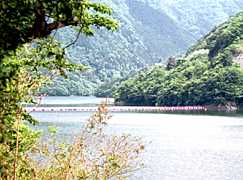 ���v���̑S�i�ʐ^