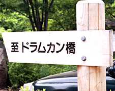 �ē��Ŕ̎ʐ^