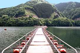 ���̏ォ��݂��h�����J�����̎ʐ^