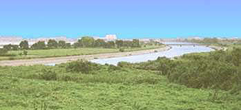 ������̎ʐ^