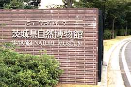 ���R�����ق̓�����̎ʐ^