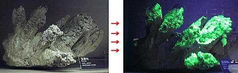 ���O���𓖂Ă�ƌ���΂̎ʐ^