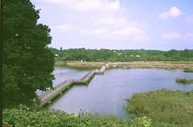 �����ق��݂��������̎ʐ^