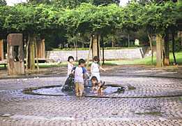 ��n�̍L��̎ʐ^