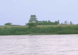 ���S�i�̎ʐ^