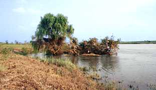 �������̎ʐ^