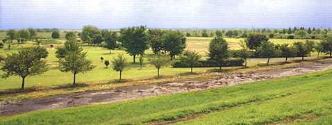 �n�ǐ��V���n�̎ʐ^