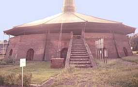 �V�����������q�����̎ʐ^