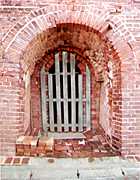 �q�̓�����̎ʐ^