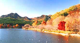 �X�ь����̎ʐ^