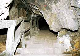 ���A���̎ʐ^