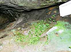 �ꕶ����̕����Z���̎ʐ^