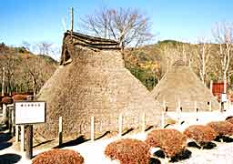 �ꕶ����̕����Z���̎ʐ^