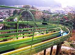 ��R�X�J�C���[���[�̎ʐ^