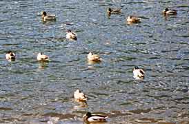 �����̎ʐ^