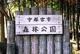 ������̊Ŕ̎ʐ^