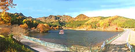 �_���ΑS�i�̎ʐ^�P