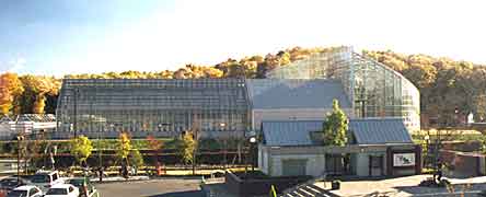 �t�����[�h���̎ʐ^