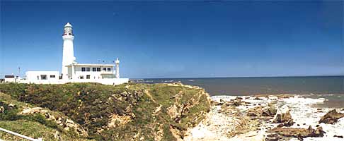 ���i��̎ʐ^