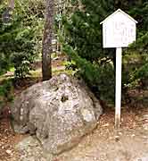 �V�̐ΓJ�̎ʐ^