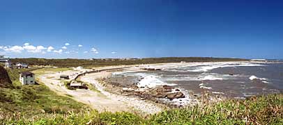 �N���l�̎ʐ^