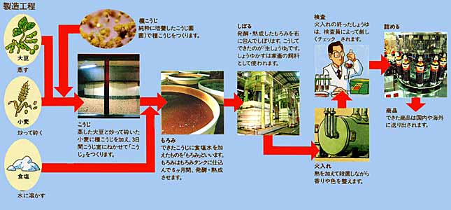 �ݖ��̍���