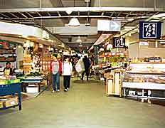 �E�H�b�Z�Q�P�̓����ʐ^