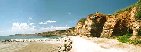 �������Y�̎ʐ^