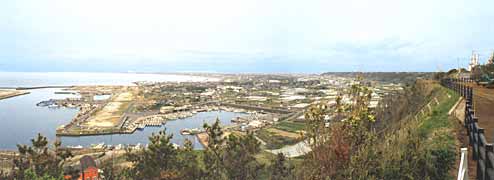 �Y��������̒��]�̎ʐ^