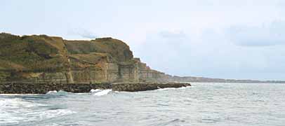 �������Y�̎ʐ^