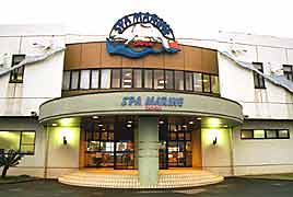 �X�p�}�������q�̎ʐ^