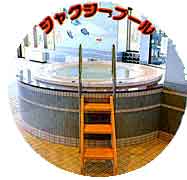 �W���O�W�[�̎ʐ^