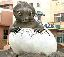 �����a���̎ʐ^