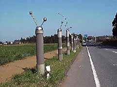 ���Ε������猩�����i