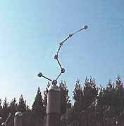 �k�l�����̎ʐ^