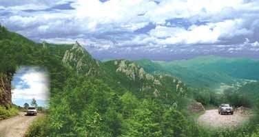 林道からの展望写真