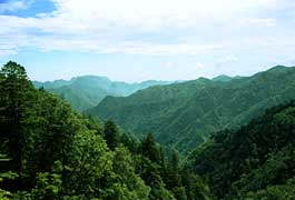 �ѓ�����̓W�]�ʐ^