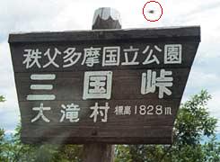 �O�����ƃX�Y���o�`�̎ʐ^