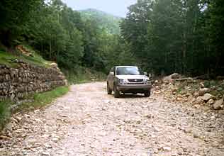 ���q�u�ѓ��̎ʐ^