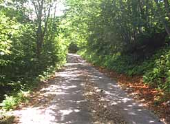 ���쌧��������t�߂̎ʐ^