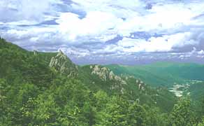 �ѓ�����̒��]�̎ʐ^