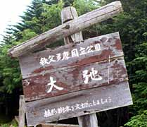 ��o���̊Ŕ̎ʐ^