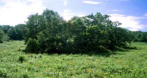 �����������R�A���Q���n�̎ʐ^