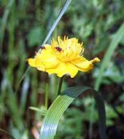 �L���o�C�\�E�̎ʐ^