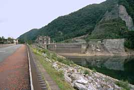 �_���㕔�̎ʐ^