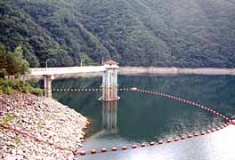 �_���΂̎ʐ^